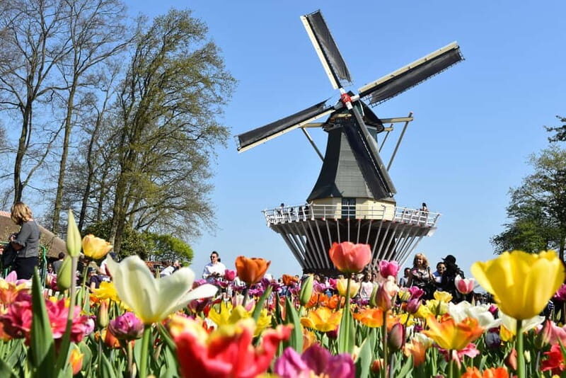 Brussels: Holland Keukenhof & Kinderdijk Guided Day Tour - The Sum Up