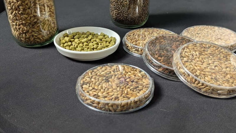 Brussels: micro brewery & distillery tour + beer tasting - Exploring Brussels’ Microbrewery & Distillery Tour: A Detailed Look