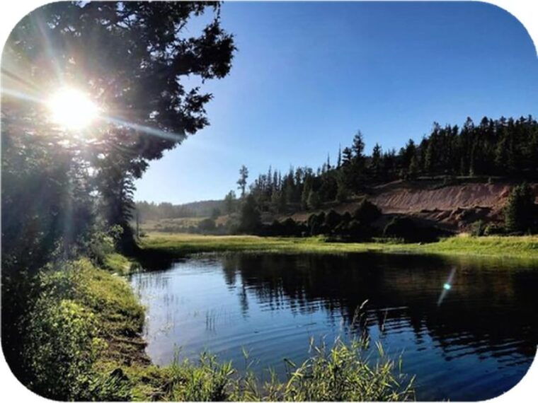 bryce-canyon-4-seat-side-by-side-4-hour-rental