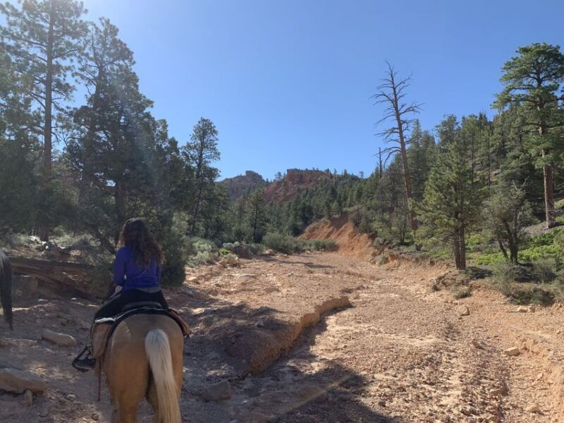 bryce-canyon-city-horseback-riding-tour-in-red-canyon