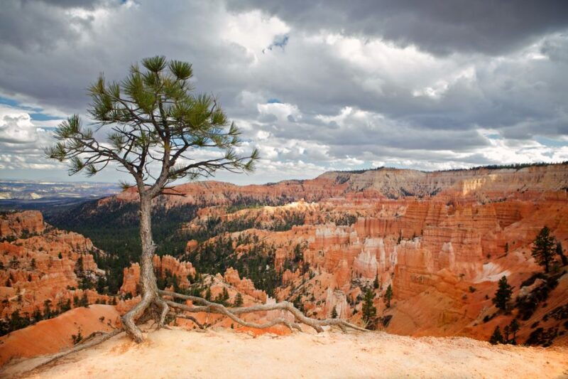bryce-canyon-national-park-guided-atv-rzr-tour