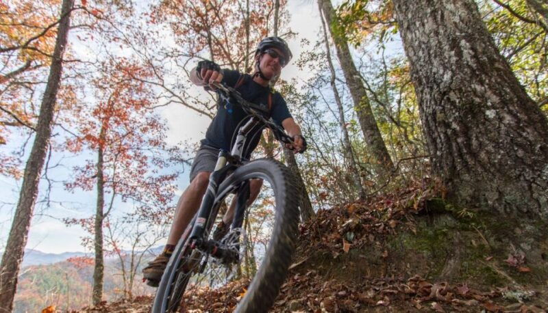 bryson-city-tsali-recreation-area-guided-mountain-bike-tour