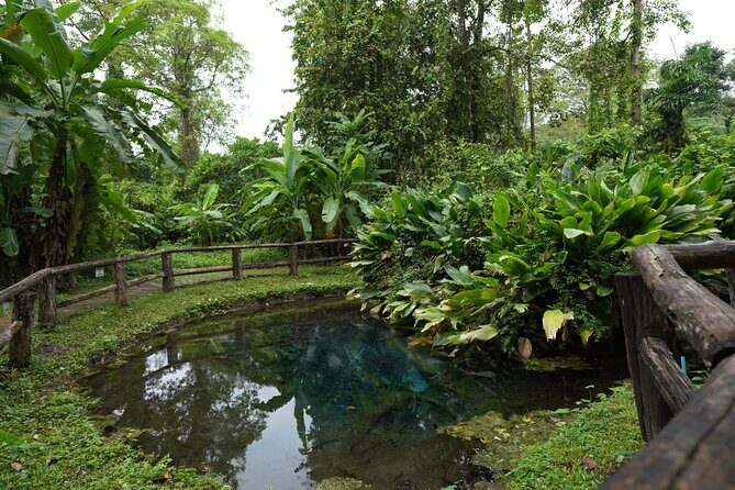 Bua Tong Sticky Waterfall-Nam Phu Chet Si Hotel Van Transfer - Who Should Book This Tour?