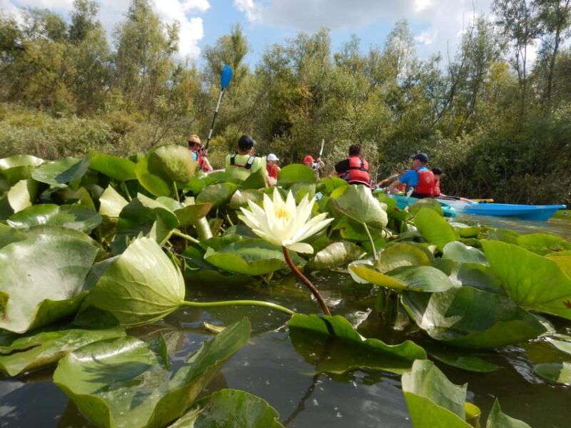 bucharest-arges-river-kayaking-tour-with-transfers