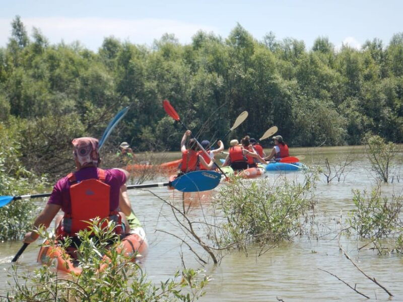 bucharest-arges-river-kayaking-tour-with-transfers
