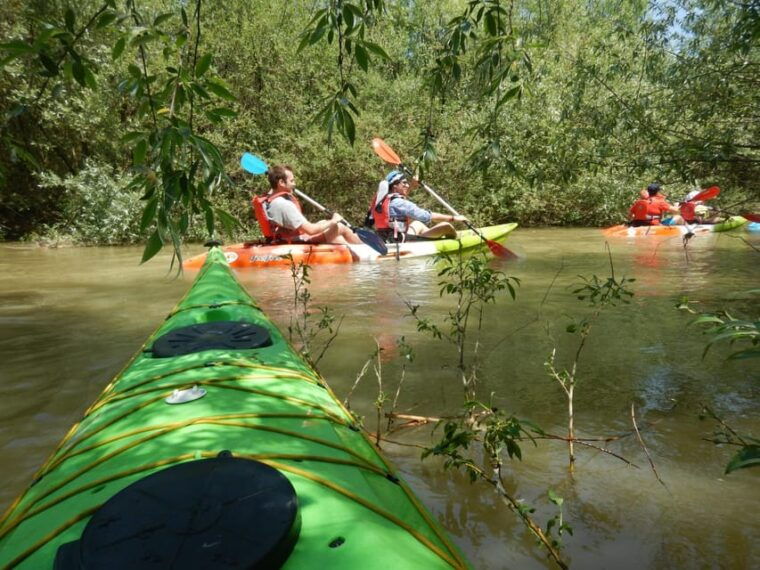 bucharest-arges-river-kayaking-tour-with-transfers