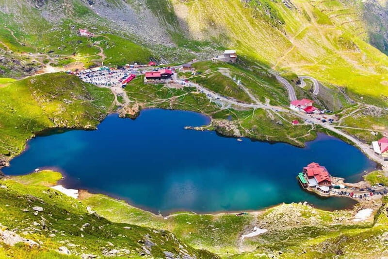 Bucharest: Bears Safari on Top Gear Road Transfagarasan - Authenticity and Value