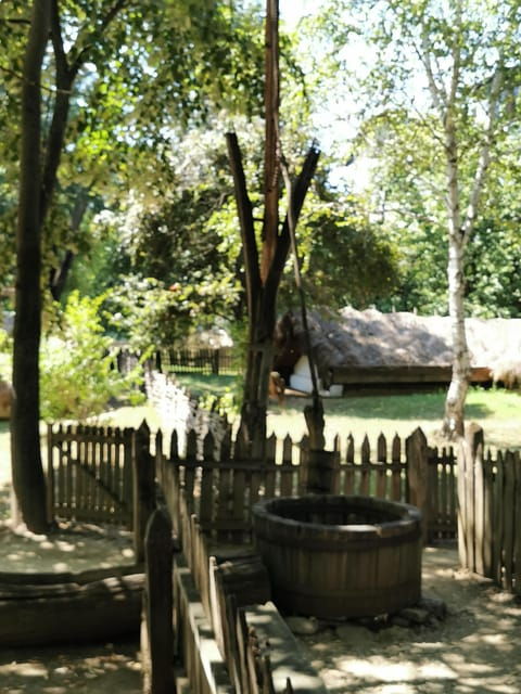 bucharest-city-tour-by-car-1-hour-photo-stops-and-visits