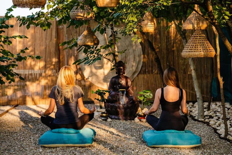 Bucharest: Day Trip at the The Tribe Alpaca Retreat - Practical Tips for Visiting