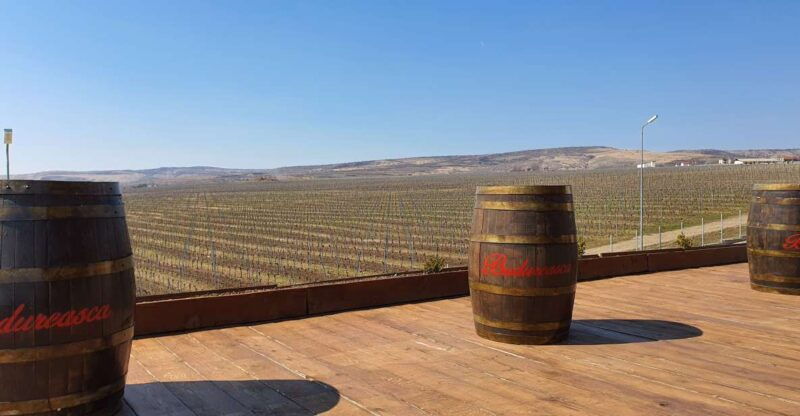 bucharest-dealu-mare-winery-private-trip-with-wine-tasting