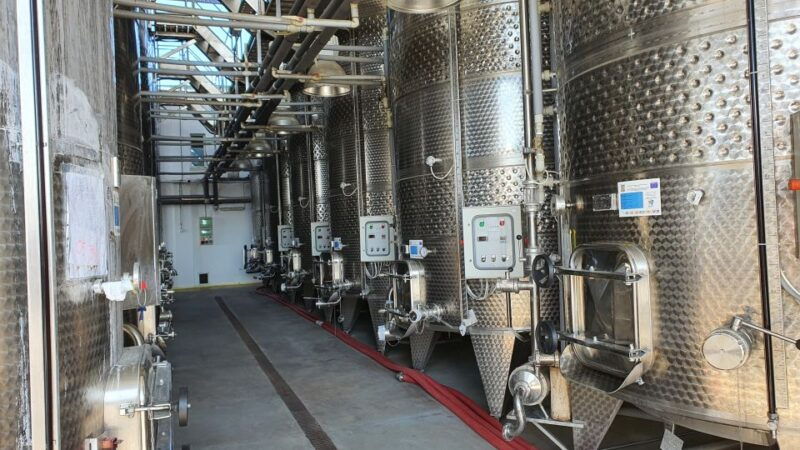 bucharest-dealu-mare-winery-private-trip-with-wine-tasting