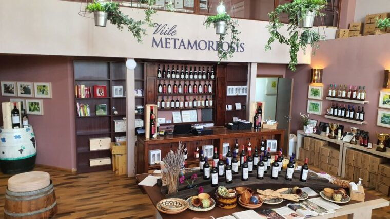bucharest-dealu-mare-winery-private-trip-with-wine-tasting
