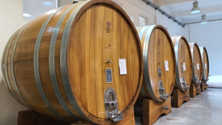 bucharest-dealu-mare-winery-private-trip-with-wine-tasting