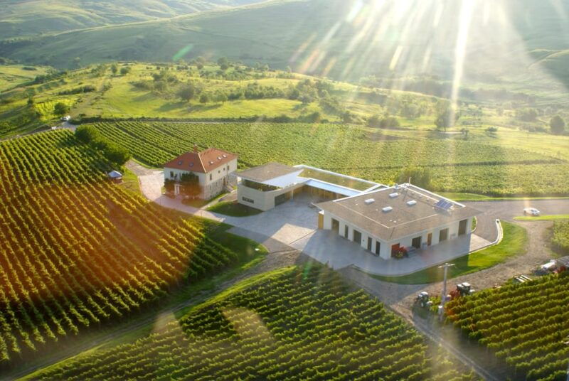 bucharest-discover-the-magic-of-romanian-wine