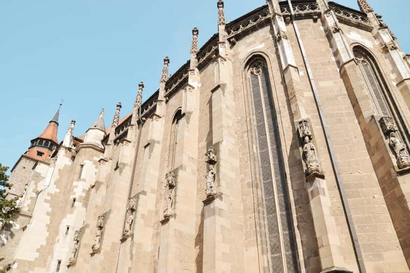 Bucharest: Dracula's Castle, Pele Castle & Braov Day Trip - Practical Tips and Insights