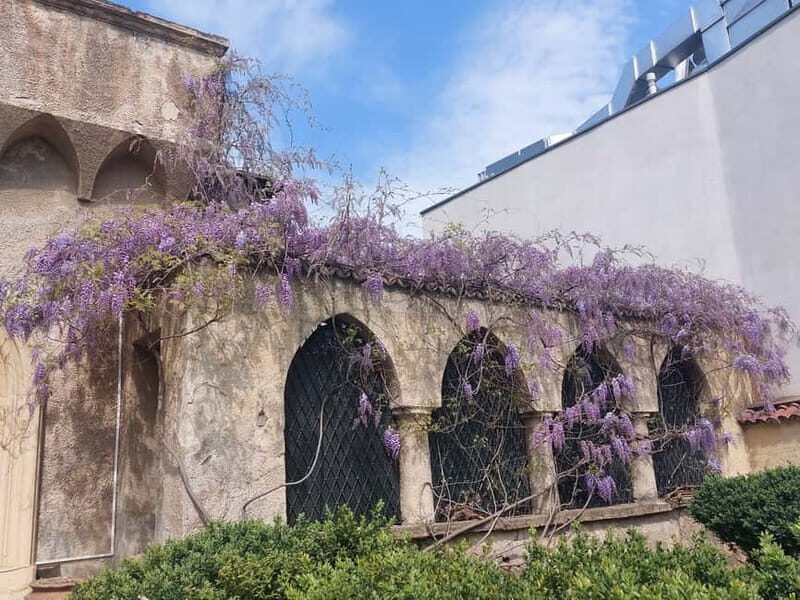 Bucharest: Hidden Gems 2.5-Hour Walking Tour - Value and Practicality