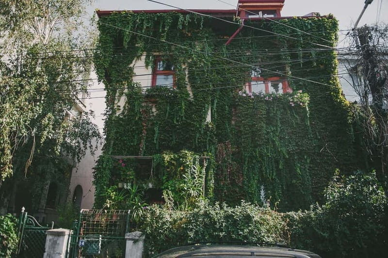 Bucharest: Hidden Gems 2.5-Hour Walking Tour - The Sum Up