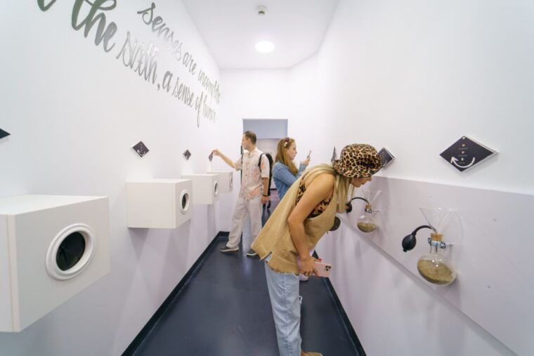 bucharest-museum-of-senses-entry-ticket