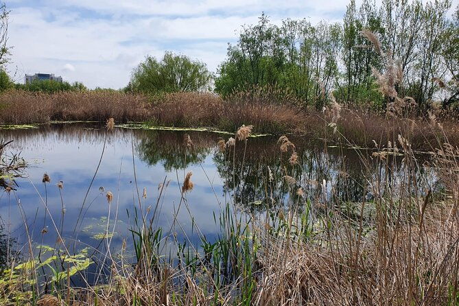 bucharest-private-tour-with-draculas-grave-and-ceausescu-mansion