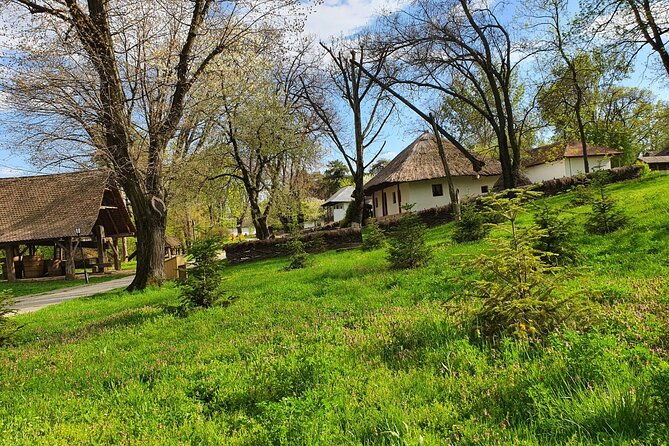 bucharest-private-tour-with-draculas-grave-and-ceausescu-mansion