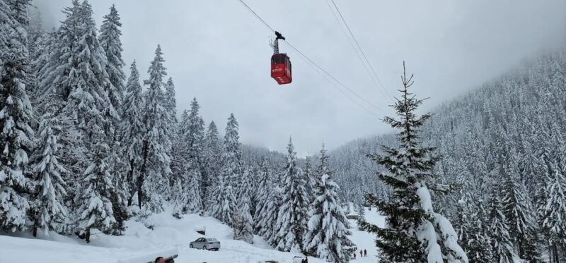 bucharest-snowmobile-tour-with-peles-castle-and-cable-car