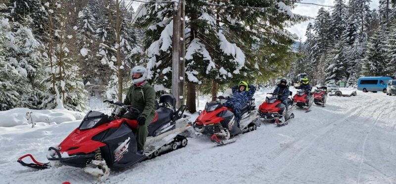 bucharest-snowmobile-tour-with-peles-castle-and-cable-car
