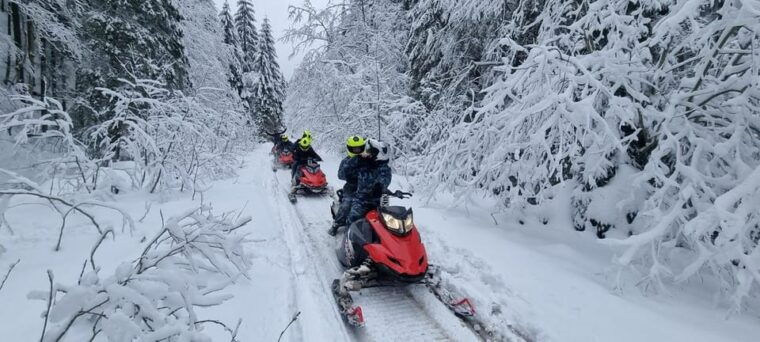 bucharest-snowmobile-tour-with-peles-castle-and-cable-car