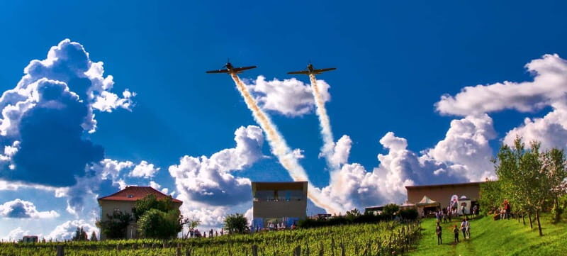 Bucharest: Taste the Magic of Wine in Romanias Tuscany - An Authentic Wine Experience