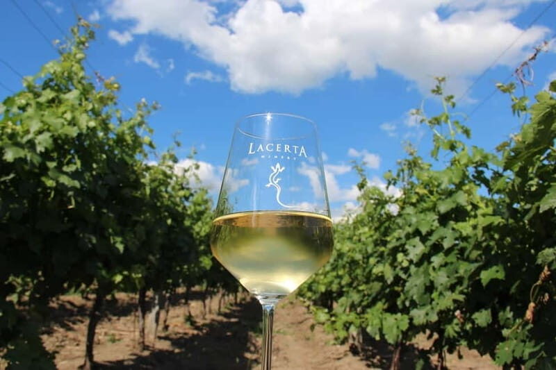 Bucharest: Taste the Magic of Wine in Romanias Tuscany - Savoring Romanian Cuisine