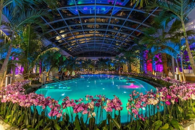 Bucharest: Therme Bucuresti Entry Ticket with Transfer - Zones and Facilities: What to Expect  