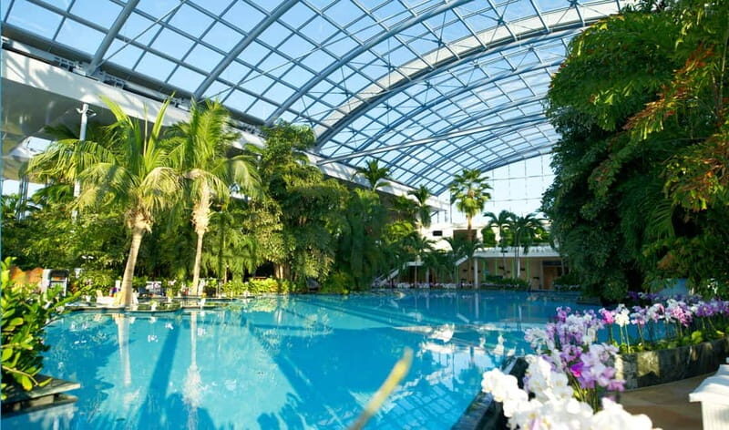 Bucharest: Therme Bucureti Entry Ticket with Transportation - The Logistics: A Well-Organized Transport & Ticket System