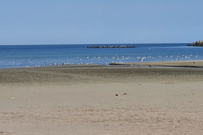 bucharest-to-constanta-fast-transportation