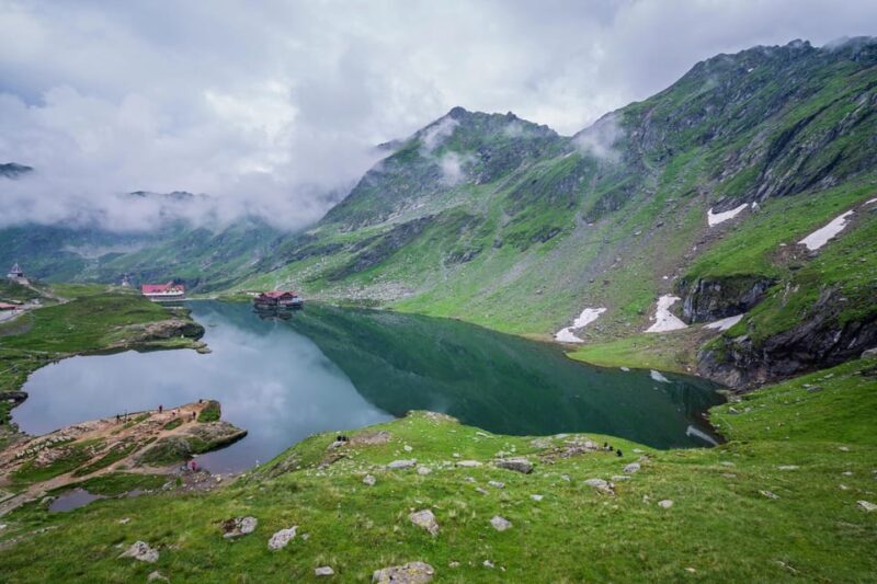 Bucharest: Top Gear Road and Wild Brown Bears Day Trip - What Could Be Better