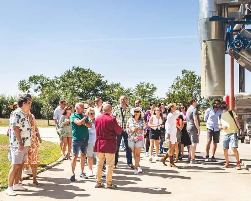 Bucharest: Tour The Wine Road, 2 Boutique Wineries in 1 Day - Uncovering the Charm of Romania’s Boutique Wineries: A Full-Day Experience from Bucharest