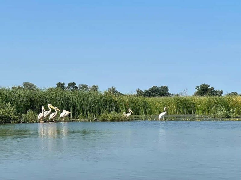 Bucharest: Tour to Danube Delta 2-Days With Boat Tour - A Close Look at the Tour Experience