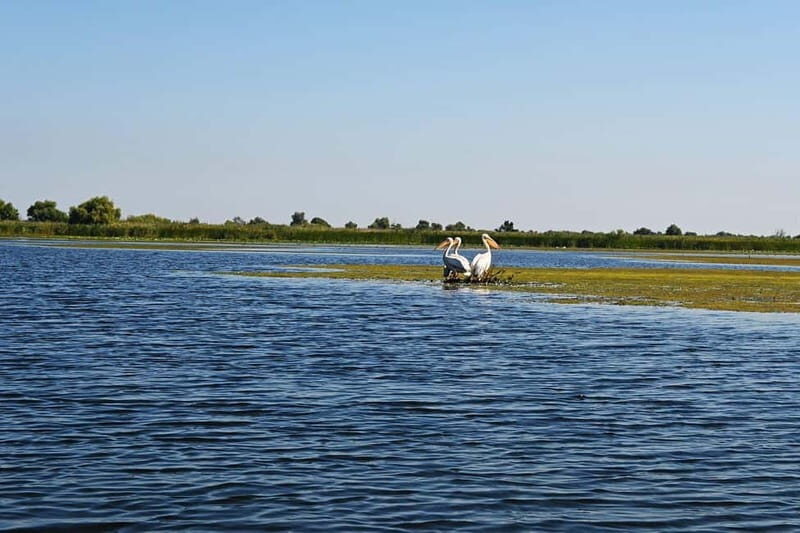 Bucharest: Tour to Danube Delta 2-Days With Boat Tour - Who Would Love This Tour?