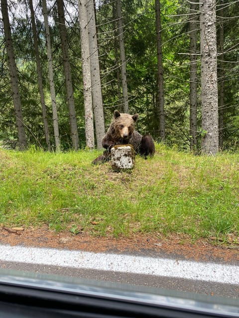 bucharest-transfagarasan-road-famous-spectacular