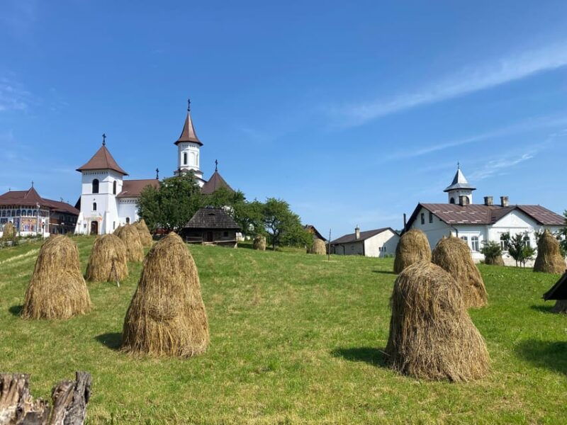 bucovina-painted-monasteries-tour-from-suceava-gura-humor