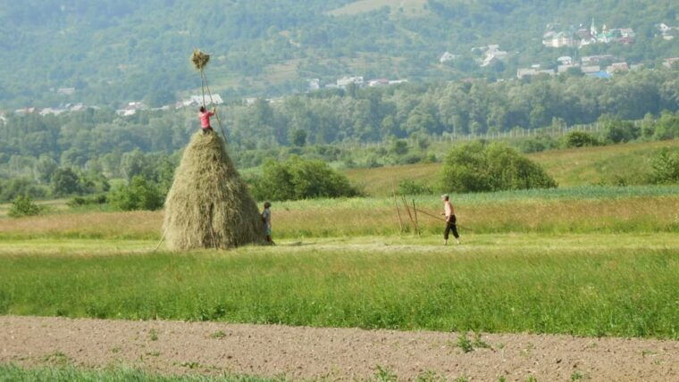 bucovina-painted-monasteries-tour-from-suceava-gura-humor
