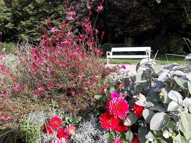 Budapest: Best Gardens Walking Tour & Hungarian Folk Music - Why This Tour Works Well