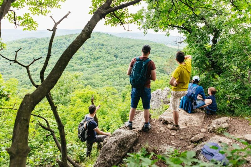 budapest-buda-hills-guided-hiking-tour-with-optional-lunch