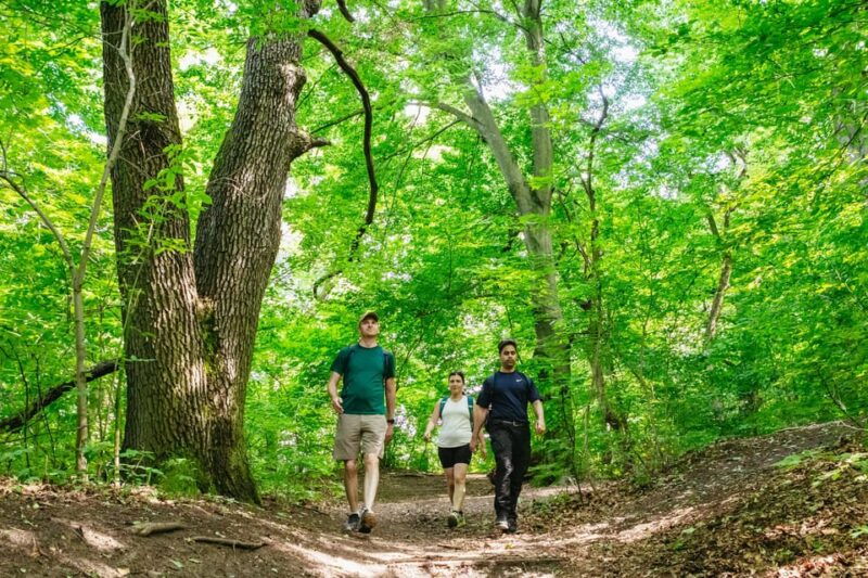 budapest-buda-hills-guided-hiking-tour-with-optional-lunch