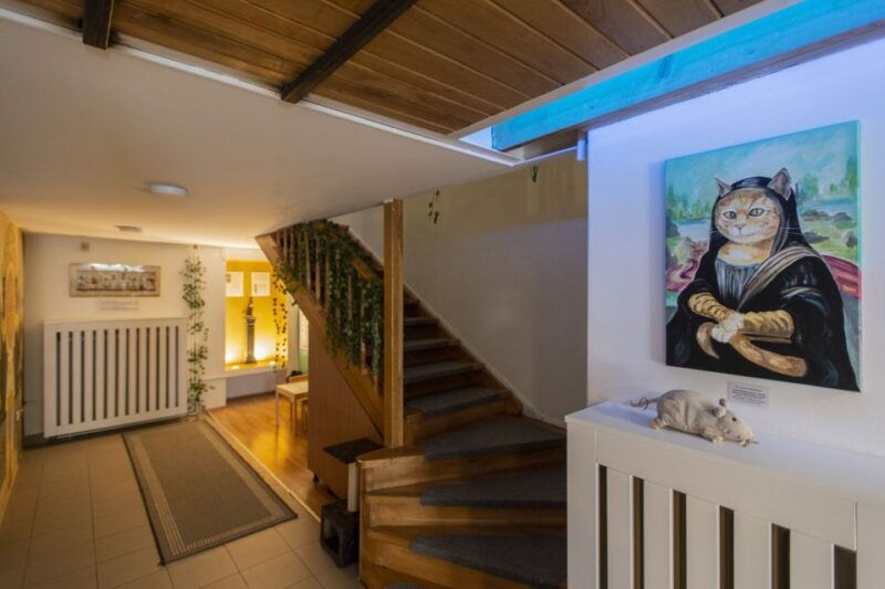 budapest-cat-museum-budapest-entry-ticket