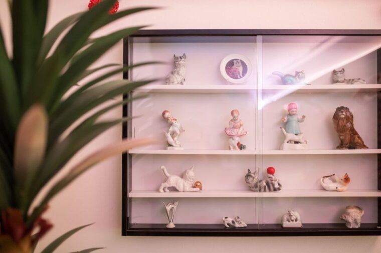 budapest-cat-museum-budapest-entry-ticket