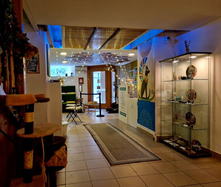 budapest-cat-museum-budapest-entry-ticket