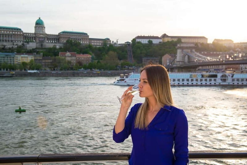 Budapest: Danube Cruise with Audioguide & Panorama Terrace - Why opt for the Budapest Danube Cruise?