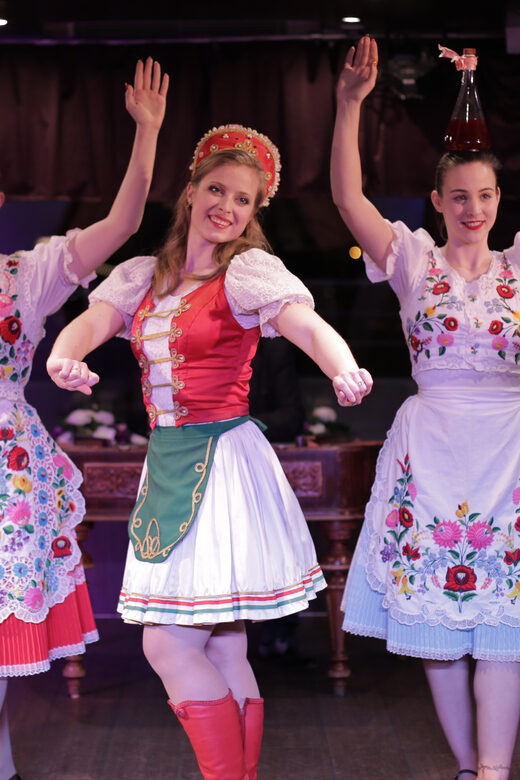 Budapest: Danube Cruise with Folk Dancing and Drinks - Introduction
