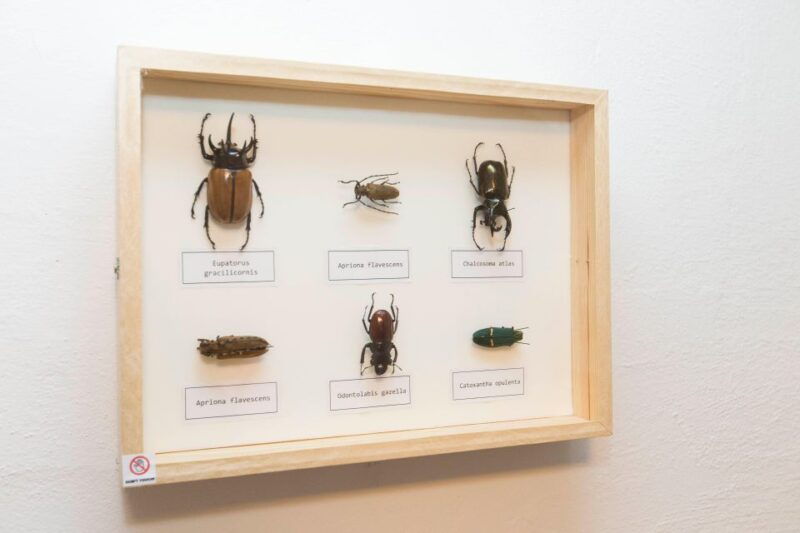 budapest-escape-room-game-secret-surgery