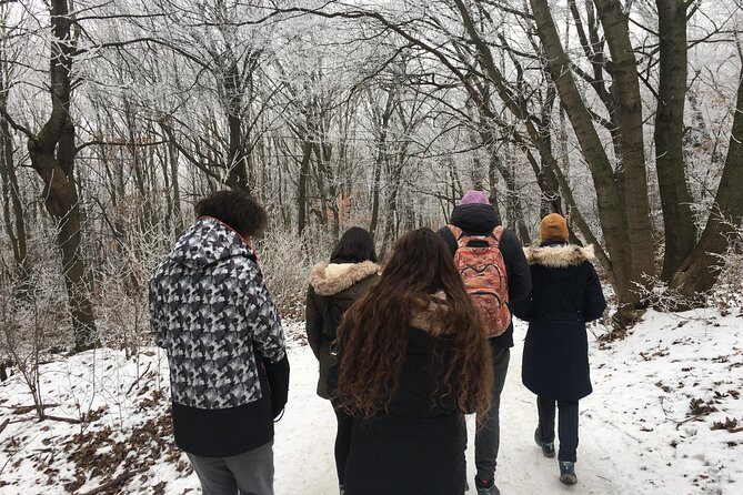 Budapest Hike - Exploring the Buda Mountains with a Local Guide