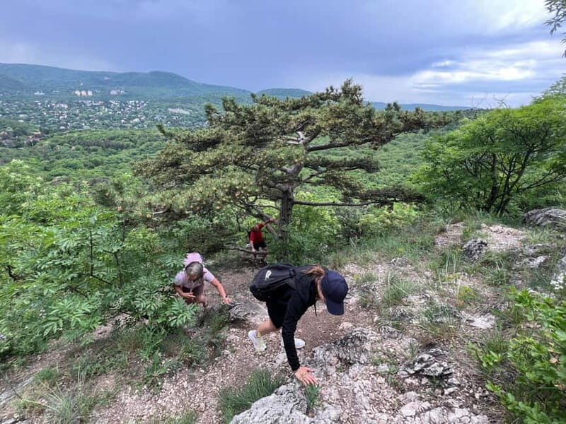 Budapest: Hiking Tour in the Buda Hills, Hármashatár Hill - Who Will Love This Tour?